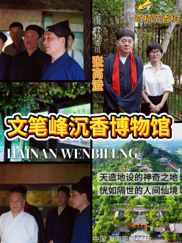 全国政协委员张高澄谈文笔峰奇楠沉香